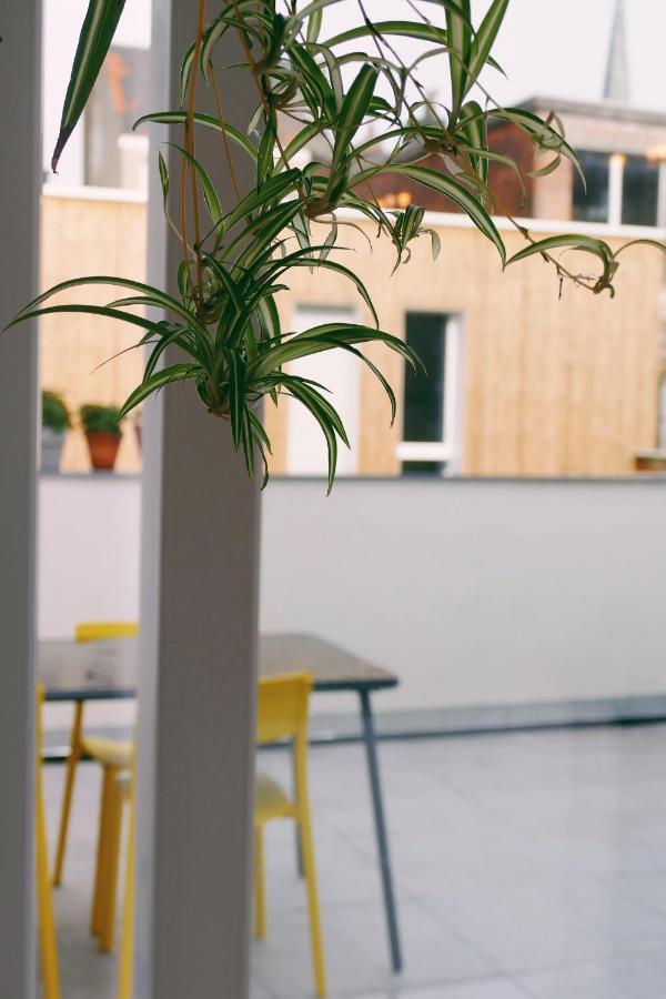 130Sqm Appartment With 20Sqm Terras And Free Parking Antwerpen Eksteriør bilde